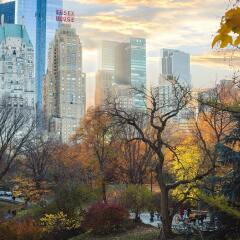Отель JW Marriott Essex House New York США, Нью-Йорк - 8 отзывов об отеле, цены и фото номеров - забронировать отель JW Marriott Essex House New York онлайн фото 2