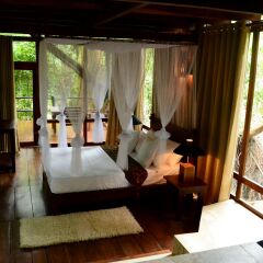 Отель Ella Jungle Resort Шри-Ланка, Бандаравела - отзывы, цены и фото номеров - забронировать отель Ella Jungle Resort онлайн комната для гостей фото 2