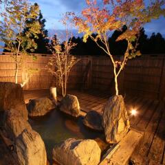 Отель Ryokan Hanagokoro Минамиогуни сауна