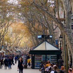 Отель Royal Ramblas Испания, Барселона - 2 отзыва об отеле, цены и фото номеров - забронировать отель Royal Ramblas онлайн фото 2