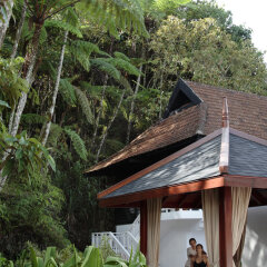 Отель Cameron Highlands Resort фото 11