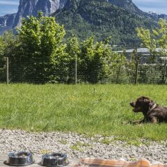 Die Wasnerin G'sund & Natur Hotel фото 10