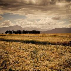 Отель Bartholomeus Klip Farmhouse фото 3