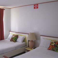Mr. Clean Bed & Breakfast in Roseau, Dominica from 136$, photos, reviews - zenhotels.com guestroom photo 4