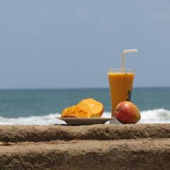 Отель Ocean View Guesthouse пляж
