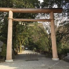 Hotel Takachiho Такатихо фото 6