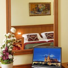 Отель Green Garden Hotel Чехия, Прага - - забронировать отель Green Garden Hotel, цены и фото номеров удобства в номере фото 2