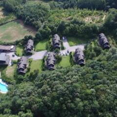Отель Chalet Resort Южная Корея, Пхёнчан - отзывы, цены и фото номеров - забронировать отель Chalet Resort онлайн приотельная территория фото 2
