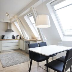 Апартаменты Bright and Modern Apartment With a Rooftop Terrace in the Center of Copenhagen Копенгаген комната для гостей фото 2