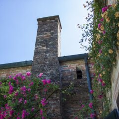 Отель Agriturismo Casa Pisani Италия, Лимена - отзывы, цены и фото номеров - забронировать отель Agriturismo Casa Pisani онлайн фото 2