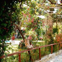Summer Lodge in Agia Marina, Greece from 66$, photos, reviews - zenhotels.com photo 7