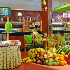 Sol Jamaica Hotel детские мероприятия