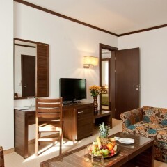 Апартаменты Apartment Tourist Complex & SPA Astera Bansko удобства в номере