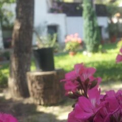 Отель Пансион Керемидчиева дома Сандански фото 25
