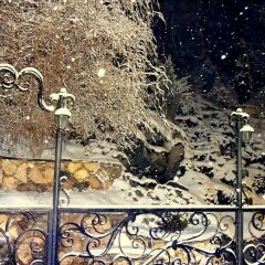 Отель Park Avenue Hotel Армения, Ереван - отзывы, цены и фото номеров - забронировать отель Park Avenue Hotel онлайн ванная фото 2