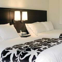 Отель Hilton Rose Hall Resort & Spa - All Inclusive Ямайка, Монтего-Бей - отзывы, цены и фото номеров - забронировать отель Hilton Rose Hall Resort & Spa - All Inclusive онлайн в номере