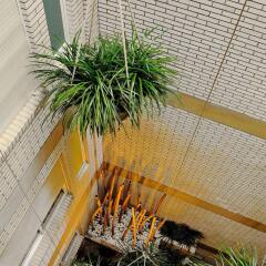 Hotel Gran Derby Suites Барселона фото 2