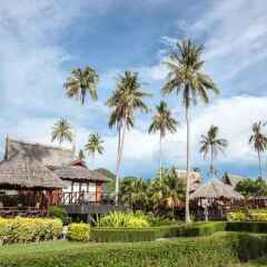 Отель Phi Phi Island Village Beach Resort Таиланд, Краби - 2 отзыва об отеле, цены и фото номеров - забронировать отель Phi Phi Island Village Beach Resort онлайн фото 11
