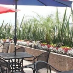 Hostel Zócalo Мехико питание