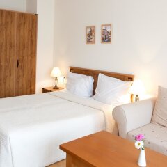 Отель Saint Ivan Rilski Hotel & Apartments Болгария, Банско - отзывы, цены и фото номеров - забронировать отель Saint Ivan Rilski Hotel & Apartments онлайн комната для гостей фото 3