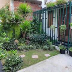 Отель Green Garden Hoi An Villa Хойан фото 7
