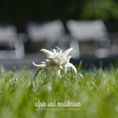Hotel Villa Freiheim Меран