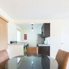 Апартаменты New Kingston Guest Apartment IV удобства в номере