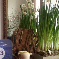 Отель B&B Matin Tranquille Бельгия, Льеж - отзывы, цены и фото номеров - забронировать отель B&B Matin Tranquille онлайн интерьер отеля