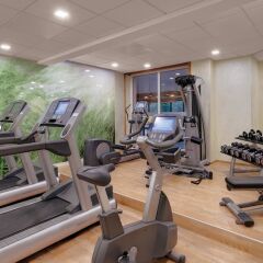 Отель The Westin Bellevue Dresden фитнесс-зал