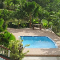 Lafontaine Holiday Apartment in Mahe Island, Seychelles from 186$, photos, reviews - zenhotels.com pool photo 2