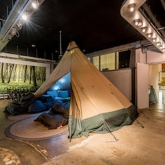 Отель Ecomama Нидерланды, Амстердам - отзывы, цены и фото номеров - забронировать отель Ecomama онлайн фото 2