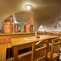 Отель U Medvidku-Brewery Hotel Чехия, Прага - отзывы, цены и фото номеров - забронировать отель U Medvidku-Brewery Hotel онлайн питание
