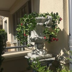 Отель Apartament Wiktor фото 8