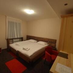 Hotel Lavina in Jahorina, Bosnia and Herzegovina from 125$, photos, reviews - zenhotels.com photo 2