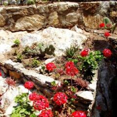 Отель Knidos Butik Otel Датча фото 15