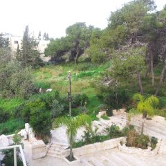 Hotel Marom Haifa Хайфа приотельная территория фото 2
