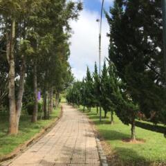 Отель Cali Nguyen Далат