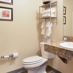 Отель HolmeSuites Columbus Airport/DLA США, Колумбус - отзывы, цены и фото номеров - забронировать отель HolmeSuites Columbus Airport/DLA онлайн ванная фото 2
