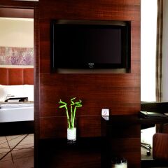 Dedeman Gaziantep Hotel & Convention Center удобства в номере