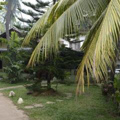 Traveller's Home Hotel фото 11