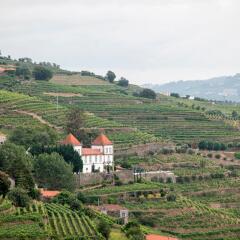 Отель Casa das Torres de Oliveira Португалия, Мезан-Фриу - отзывы, цены и фото номеров - забронировать отель Casa das Torres de Oliveira онлайн приотельная территория