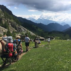 Отель Revivre Village Италия, Шампорше - отзывы, цены и фото номеров - забронировать отель Revivre Village онлайн приотельная территория
