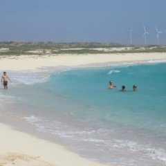 The Red Cottage in San Nicolas, Aruba from 433$, photos, reviews - zenhotels.com beach photo 4