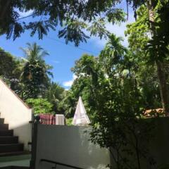 Отель Jungle Guest House Шри-Ланка, Галле - отзывы, цены и фото номеров - забронировать отель Jungle Guest House онлайн фото 5