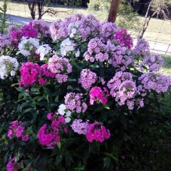 Отель Biohof Schwanser фото 8