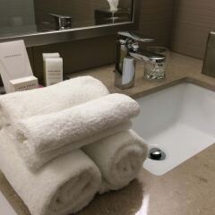 Отель Les Suites Victoria, an Ascend Hotel Collection Member Канада, Гатино - отзывы, цены и фото номеров - забронировать отель Les Suites Victoria, an Ascend Hotel Collection Member онлайн ванная фото 2