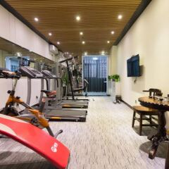 Hongmayi Theme Hotel Xinxiang Qingchun Jiyi фитнесс-зал фото 3