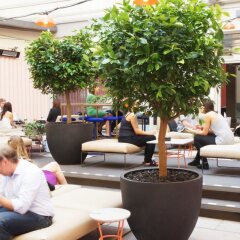 Отель HTL Kungsgatan Швеция, Стокгольм - 2 отзыва об отеле, цены и фото номеров - забронировать отель HTL Kungsgatan онлайн фитнесс-зал
