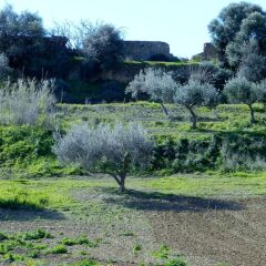 Отель Agriturismo Passo dei Briganti Агридженто фото 6