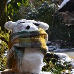Отель Kurokawa Onsen Oku no Yu Минамиогуни